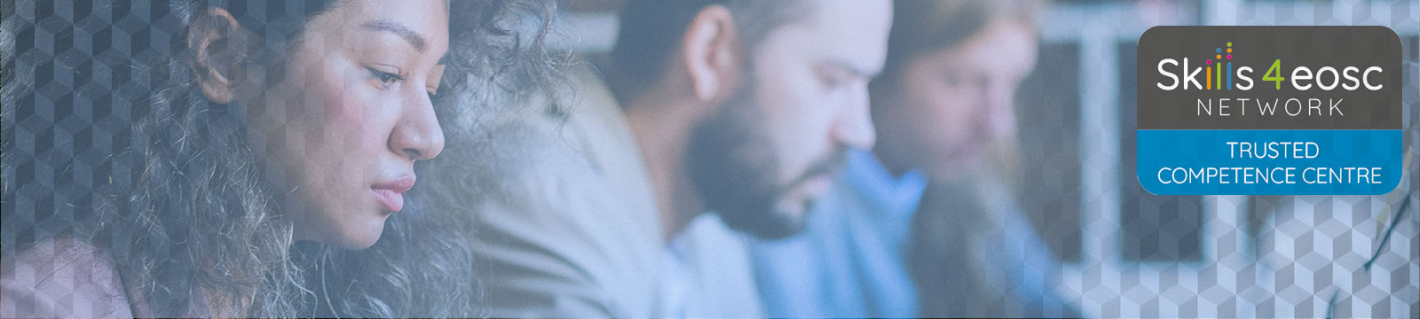 ICDI Competence Centre