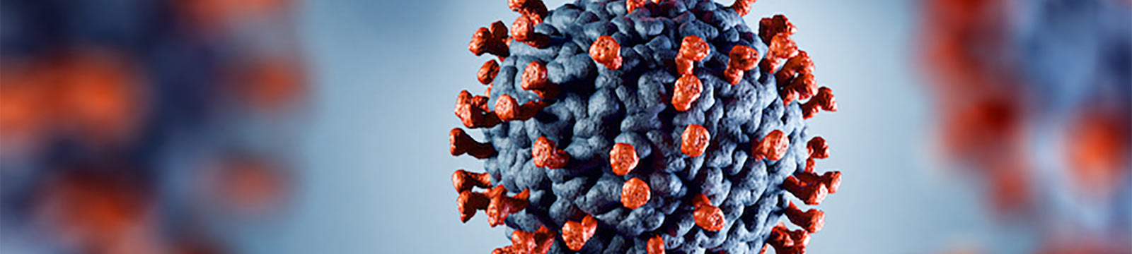 immagine covid-19