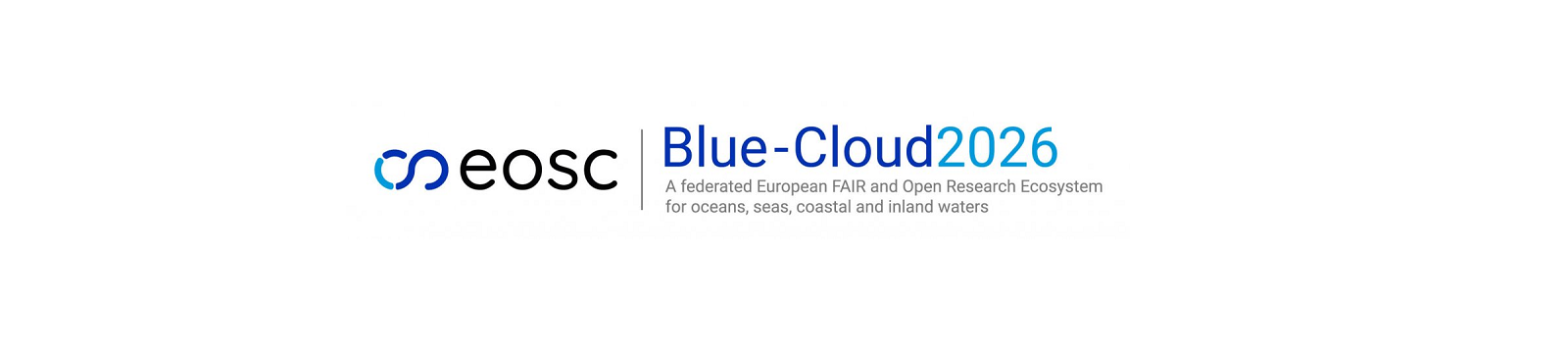 'Blue-Cloud 2026', un progetto UE a guida italiana per migliorare la sostenibilità degli oceani